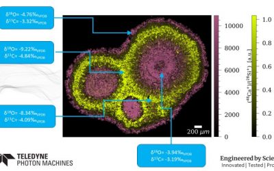 Cryogenic Cave Calcite Pearl